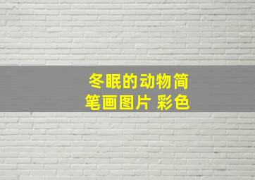 冬眠的动物简笔画图片 彩色